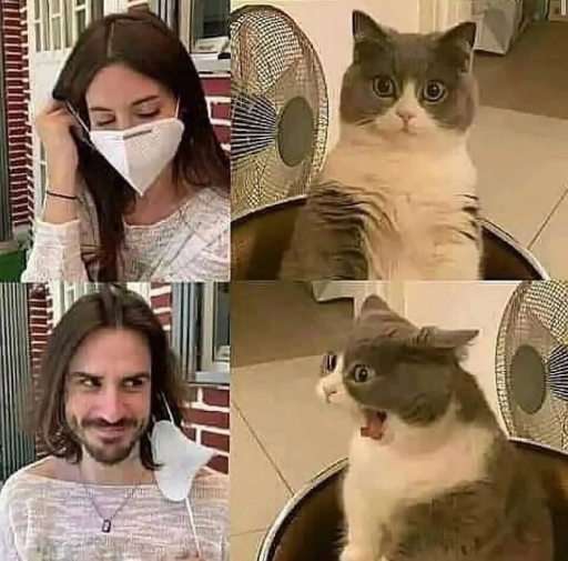 بدون شرح